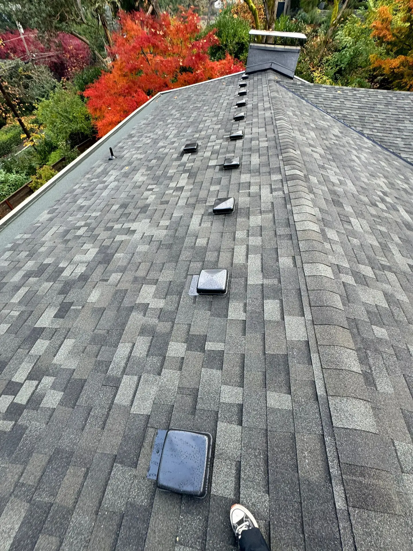 roof maintenance in Portland