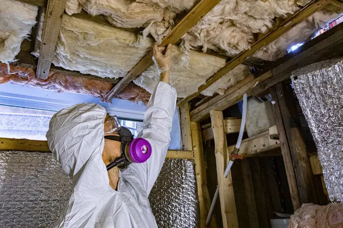 mold inspection in attic insulation