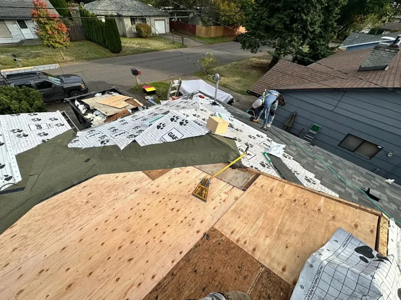 Full shingle roof replacement 8