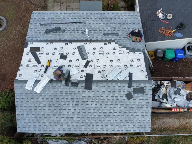 Shed replacement from torch down to Shingle